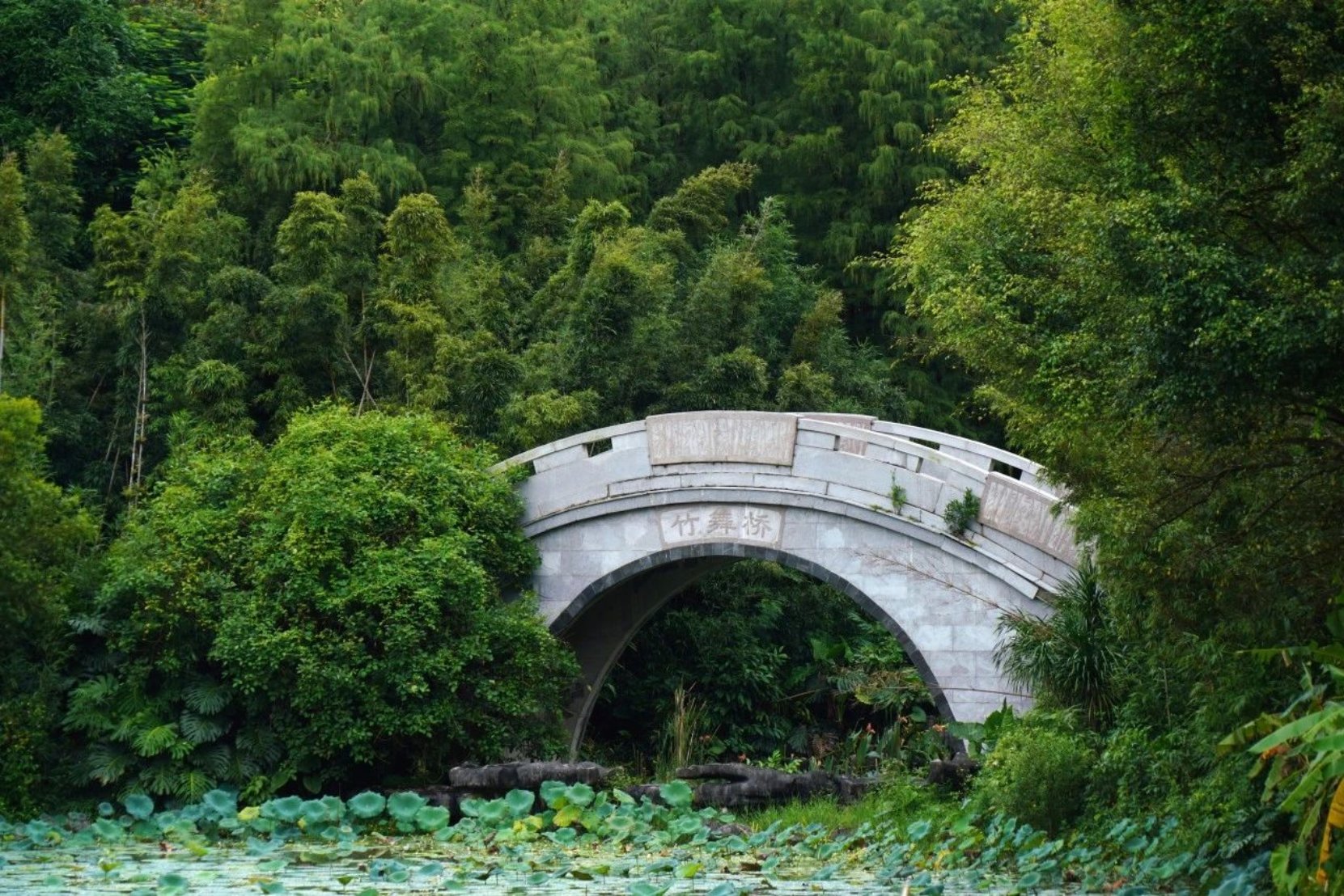 遇見寶藏興寧 | i人E人 不如來獅山公園做自由人！